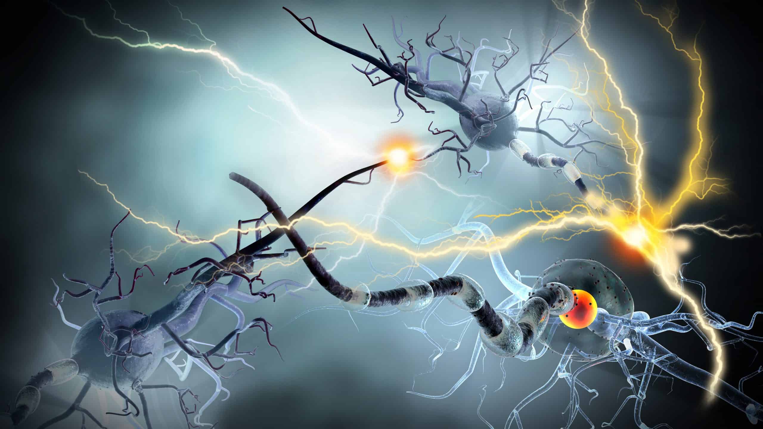 Mesenchymal Stem Cells | Inflammation | Multiple Sclerosis