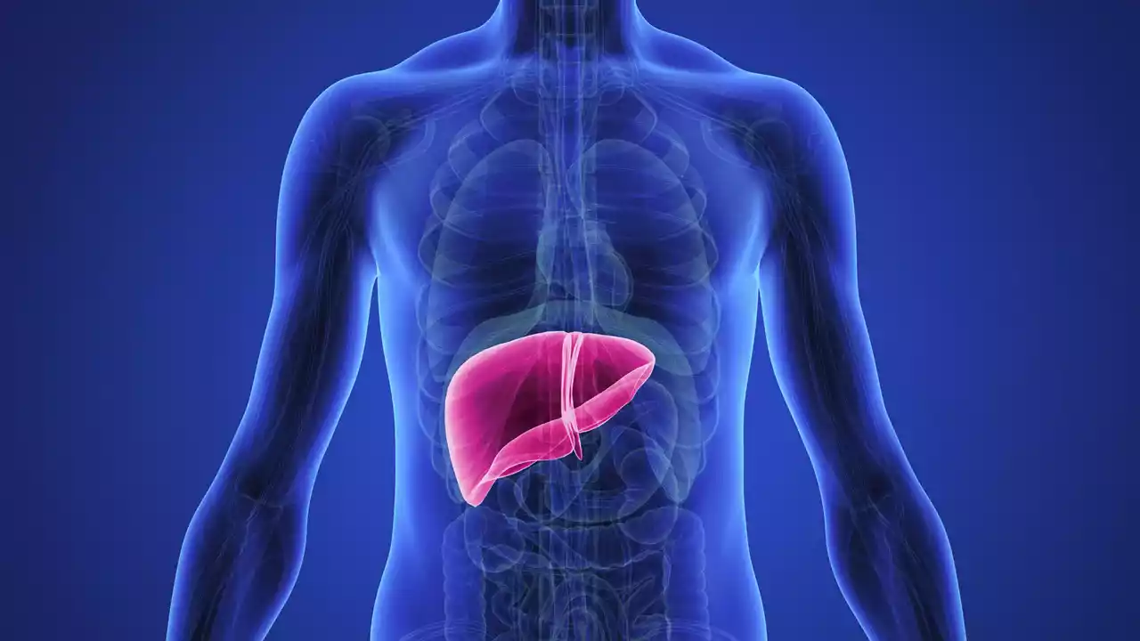 Stem Cell Therapy for Liver Disease