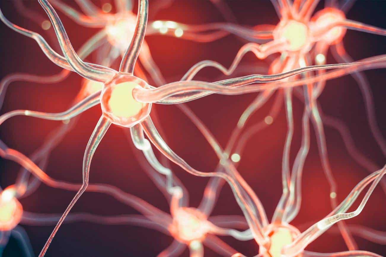 Can Stem Cells Repair Nerve Damage