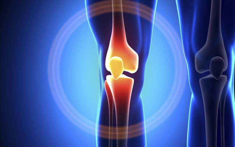 Articular Cartilage Knee Pain