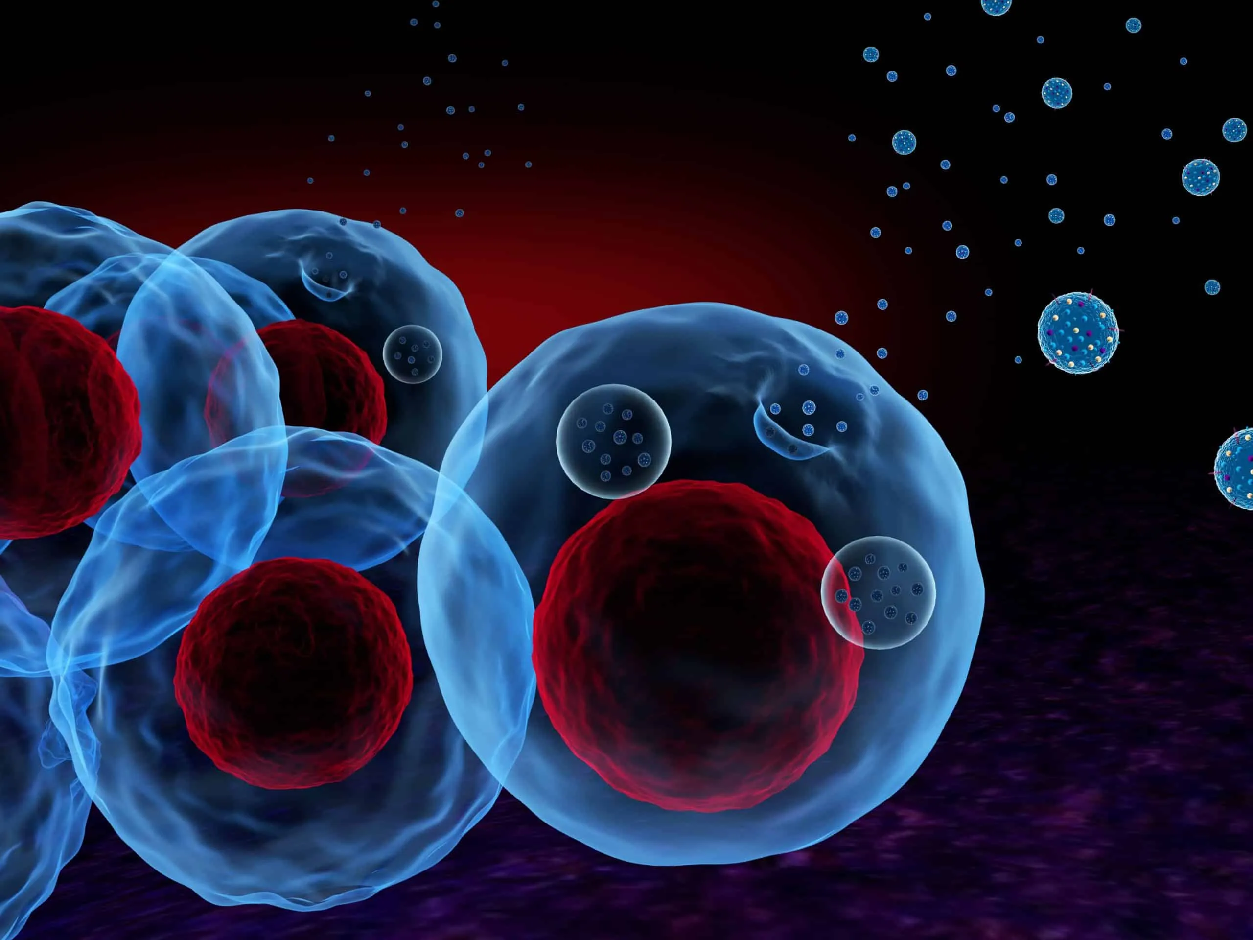 exosomes vs stem cells 2