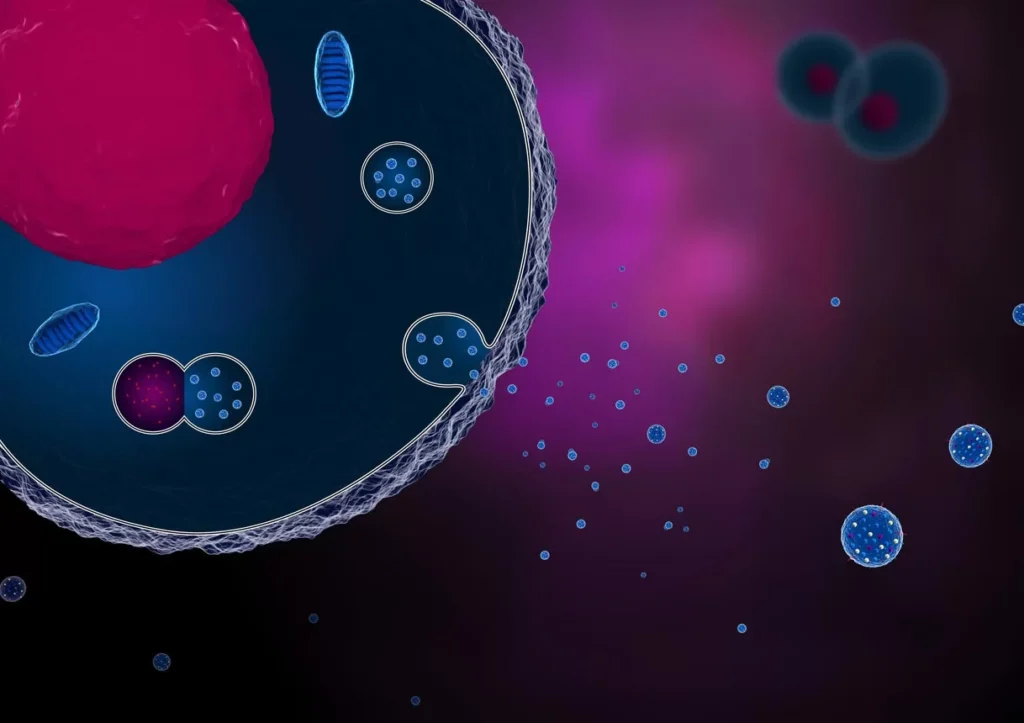 exosomes vs stem cells 3