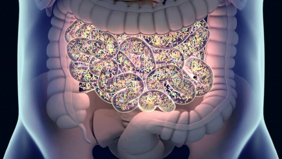 The Hidden Link Between Leaky Gut and Degenerative Conditions